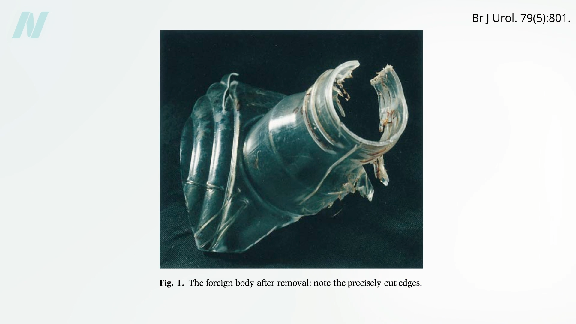 Mixed Nuts Put to the Test for Erectile Dysfunction