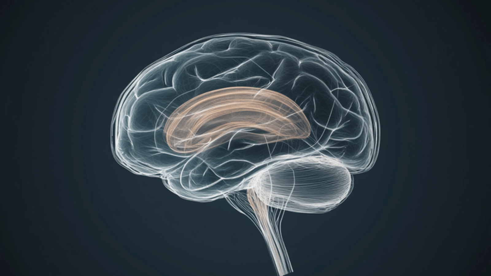 The Evolving Frontier of GLP-1 Receptor Agonists From Diabetes Management to the Potential Prevention of Neurodegenerative Diseases