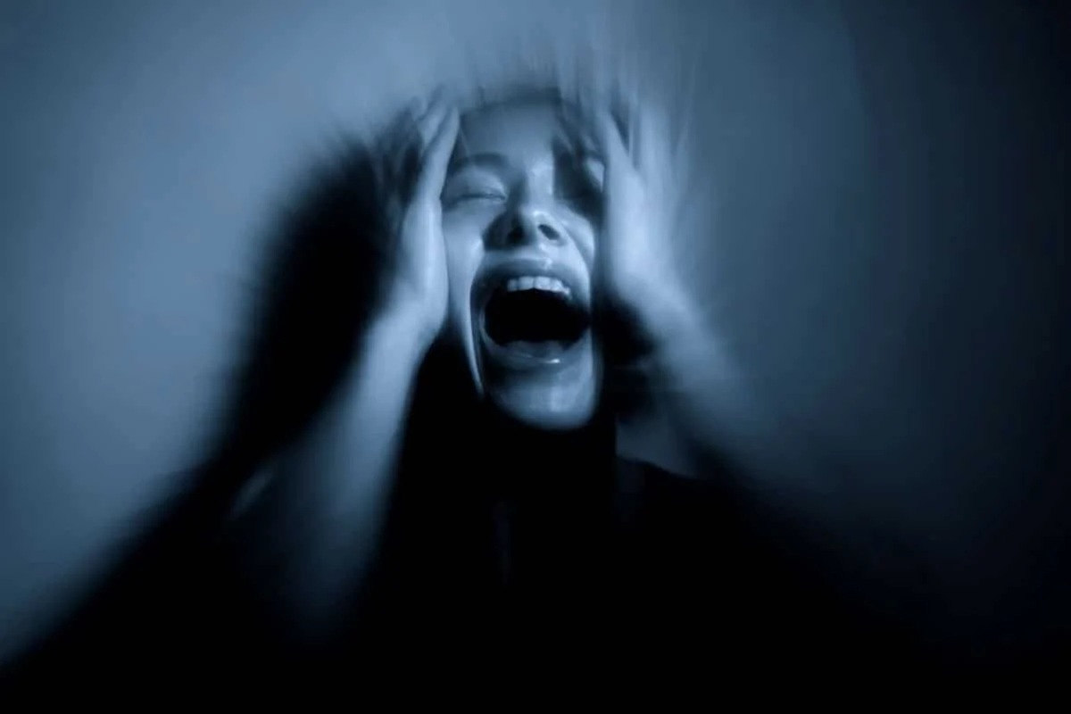 A Newly Discovered Auditory Shortcut to the Brain’s Fear Center Explains Instantaneous Reactions to Threatening Sounds.