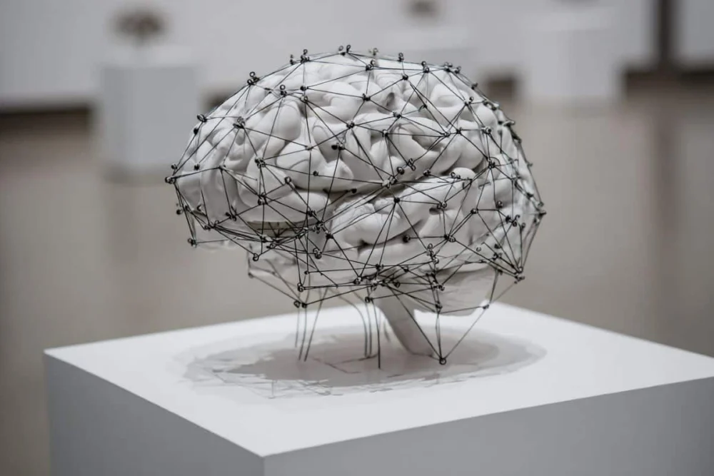 Advanced AI Challenges Long-Held Beliefs on Brain Structure and Navigation Ability in Healthy Adults