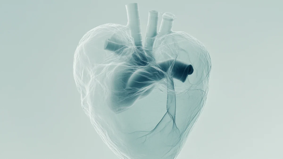 Beyond the Blockage New Research Highlights Non-Atherosclerotic Causes of Heart Attacks in Women and Younger Adults