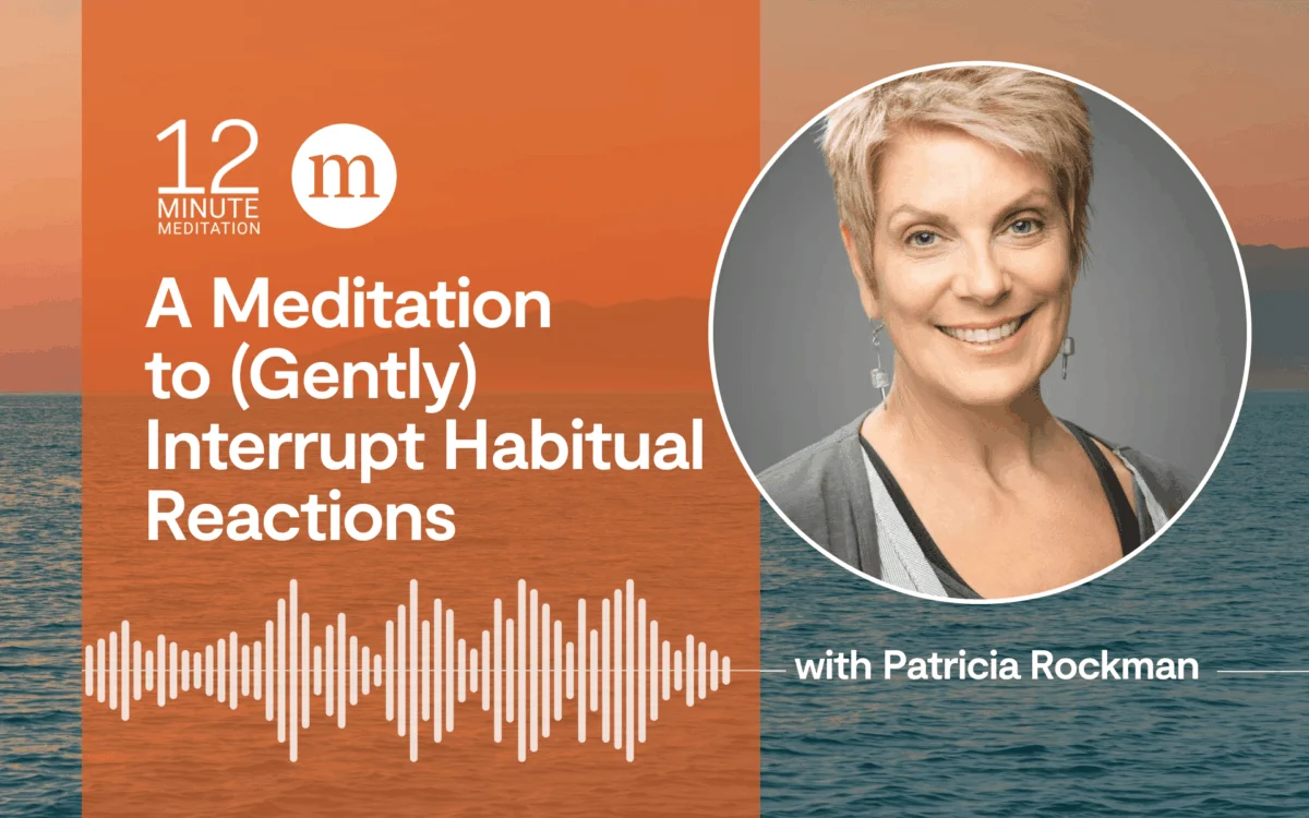 Cultivating Intentional Responses: A Deep Dive into Mindfulness for Habitual Reactions