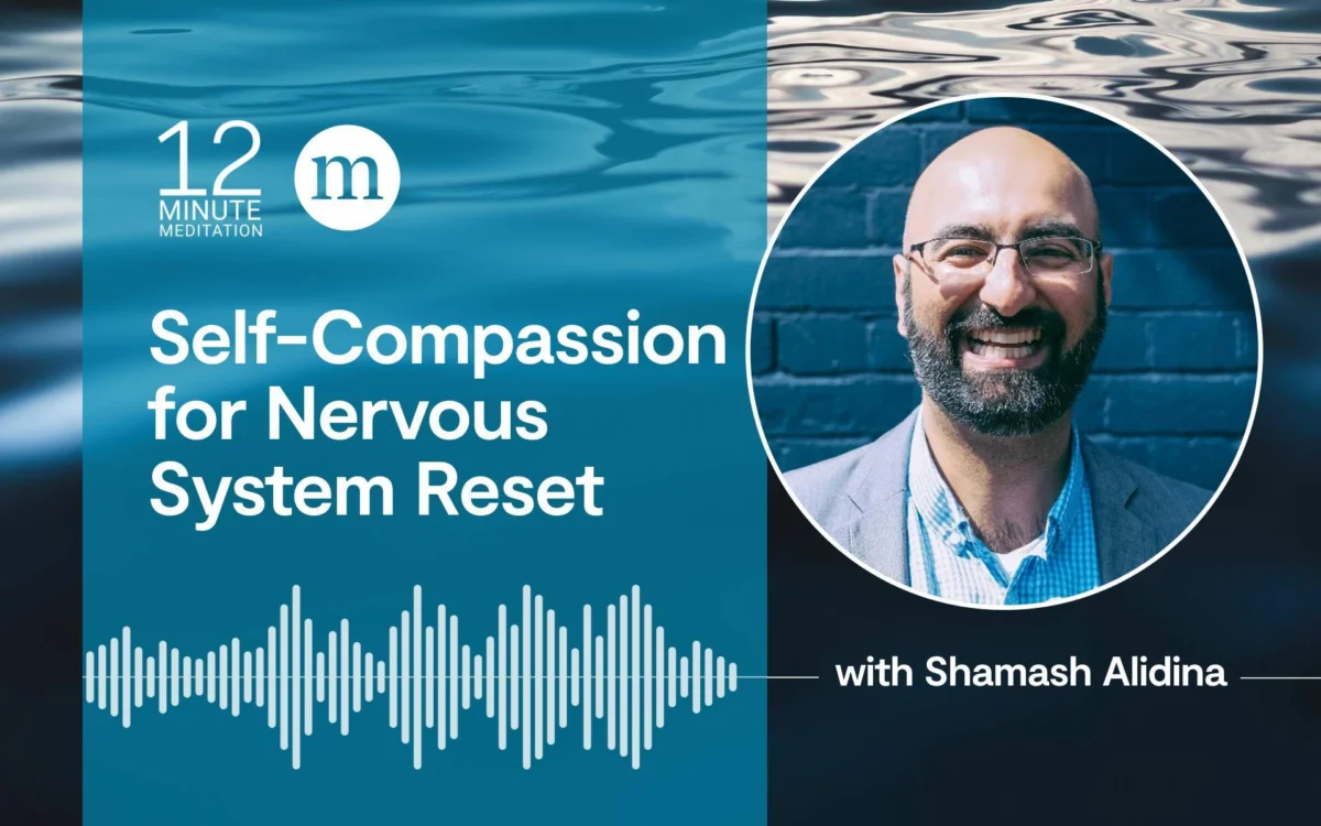 Cultivating Self-Compassion: A Foundational Practice for Stress Resilience and Nervous System Regulation