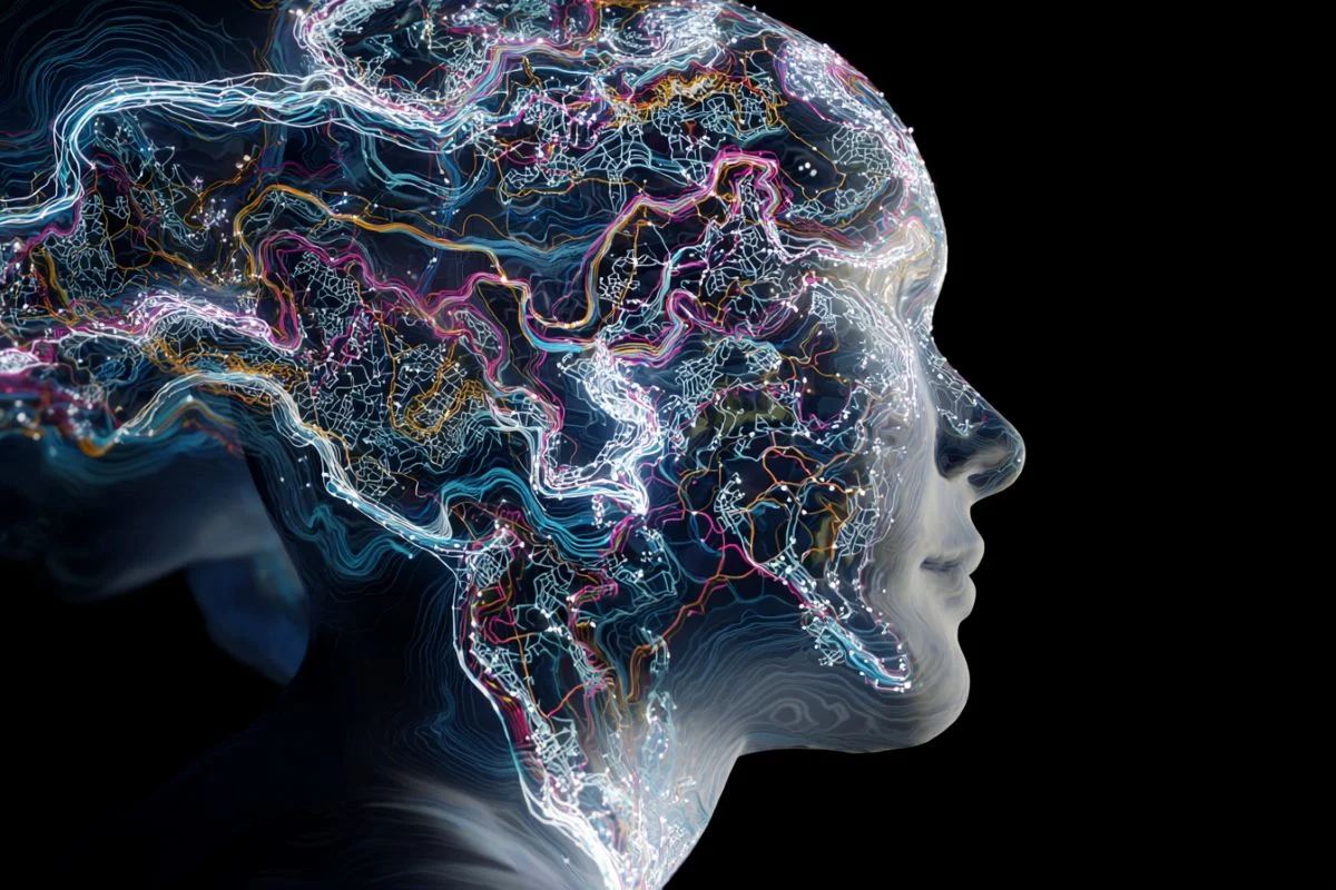 Dopamine GPS: Visual Guidance Beyond Reward