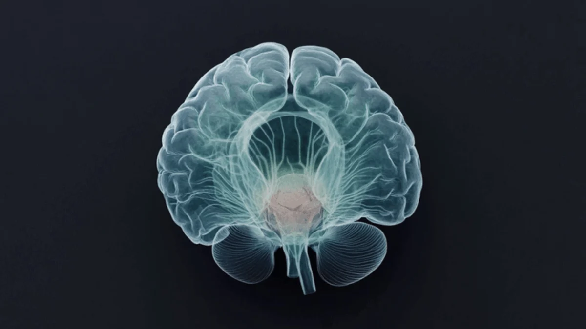 Exceptional Cognitive Resilience in the Face of Deterministic Alzheimer’s Genetics: The Case of Doug Whitney and the Heat-Shock Protein Hypothesis