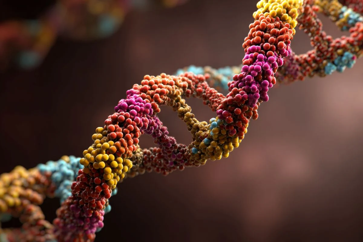 Groundbreaking Discovery Identifies Cellular ‘Trash Disposal’ Mechanism Directly Linked to Human Aging and Longevity