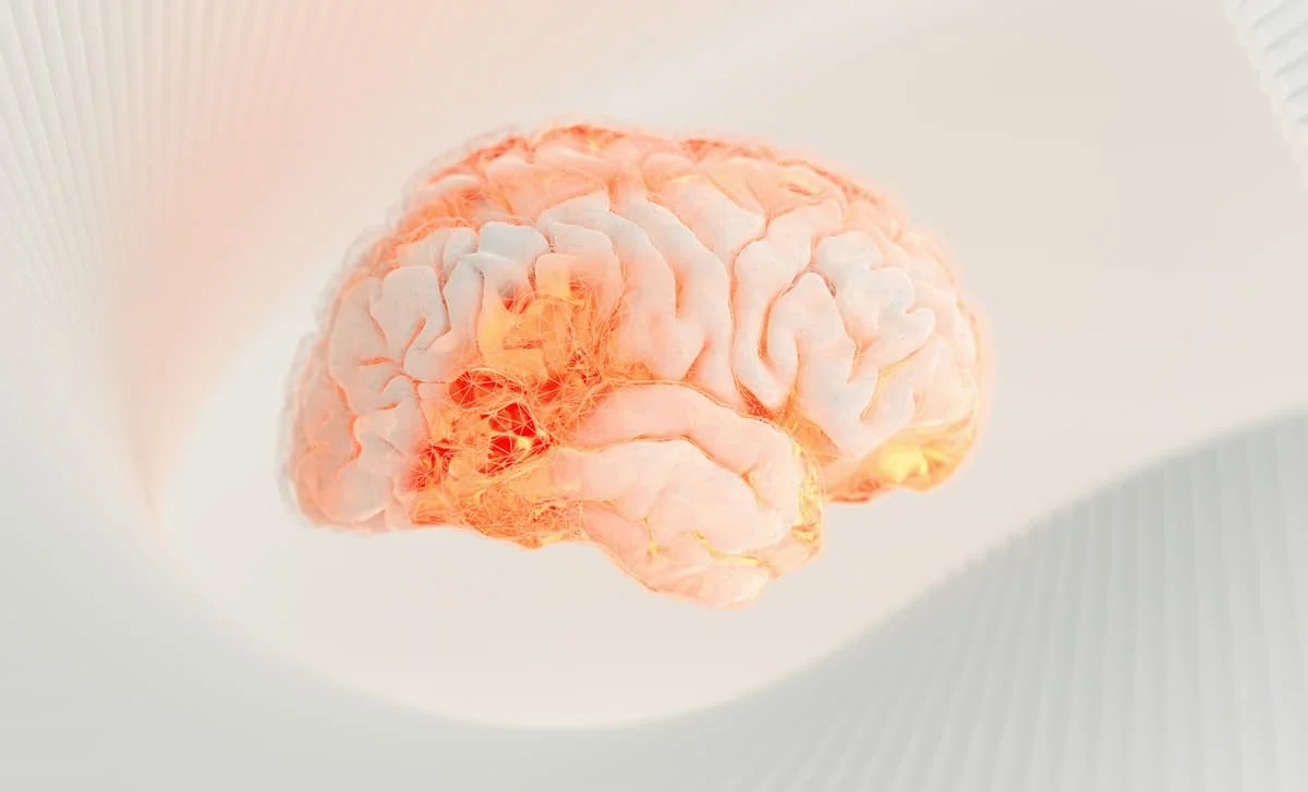 Mentally Challenging Activities Can Reverse Brain Aging in Older Adults