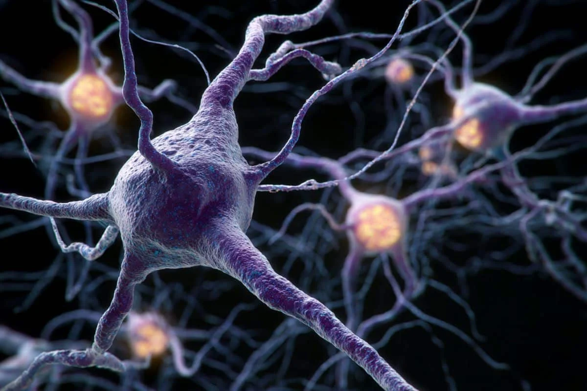 Multiple Sclerosis Prevalence Doubled in Two Decades