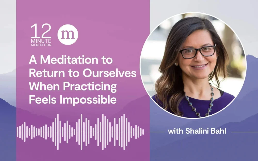 Navigating a World in Turmoil: Reclaiming Compassion and Clarity Through Grounding Mindfulness
