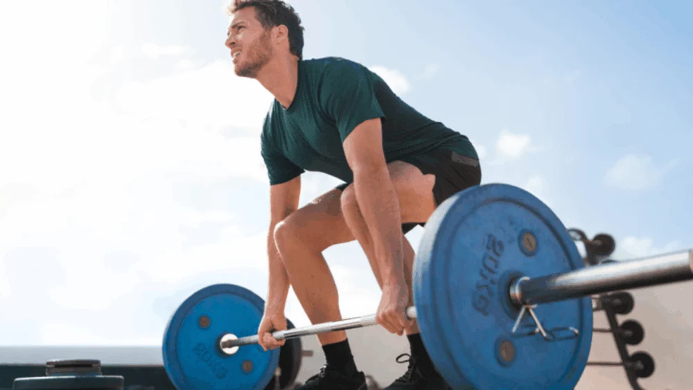 Physiological Constraints on Human Performance Research Identifies Universal Ceiling for Muscle Fiber Size and Aerobic Efficiency