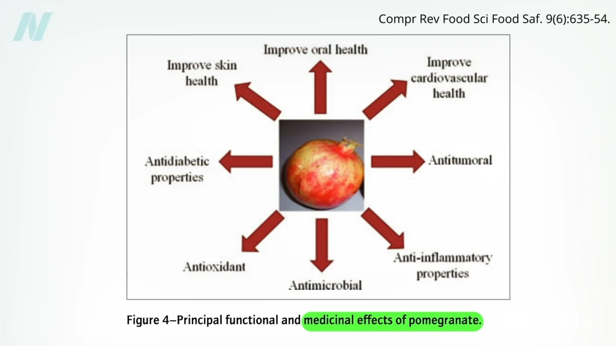 Pomegranates Under Scrutiny: Examining the Scientific Evidence Behind Health Claims
