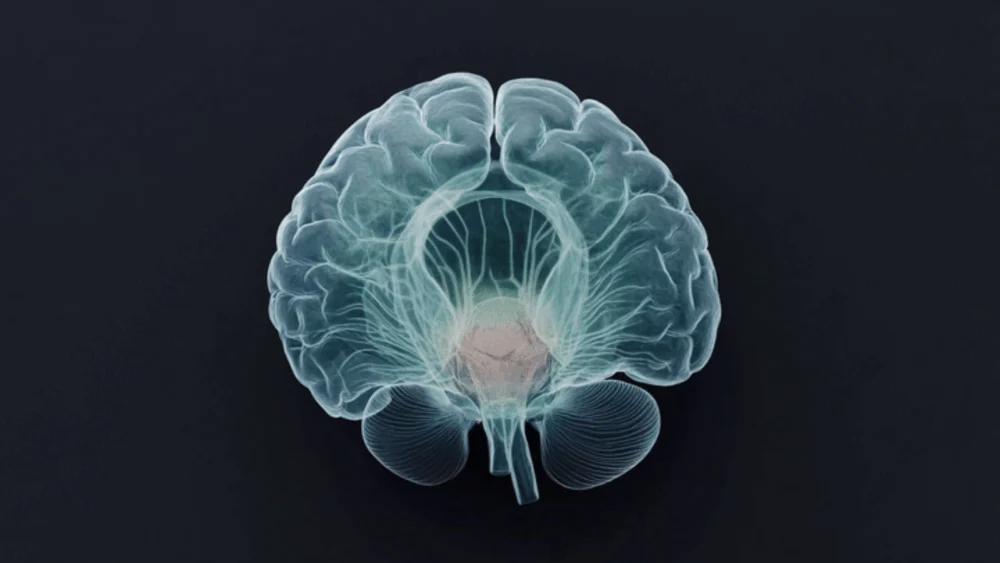 The Case of Doug Whitney and the Biological Mechanism of Exceptional Resilience Against Alzheimer’s Disease