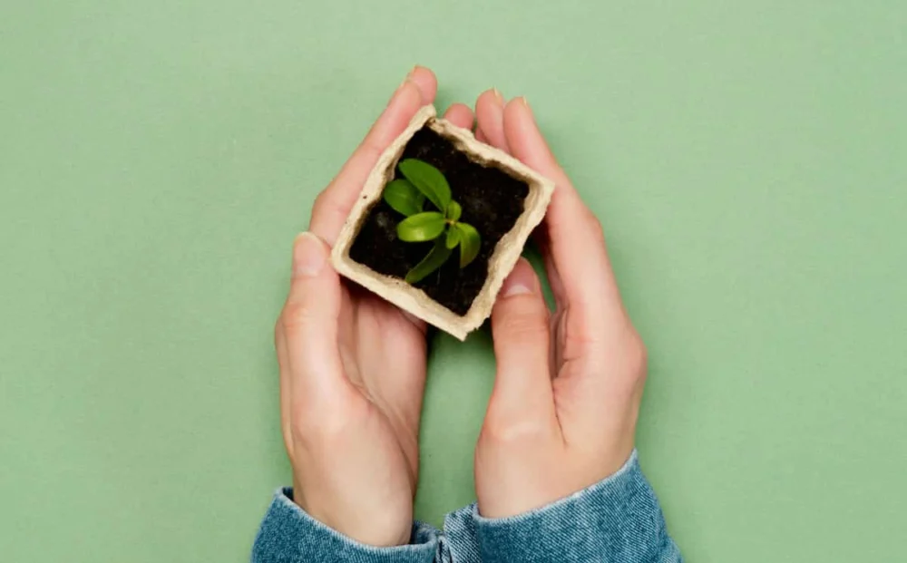 The Considerable Benefits to Health and Well-being of Gardening
