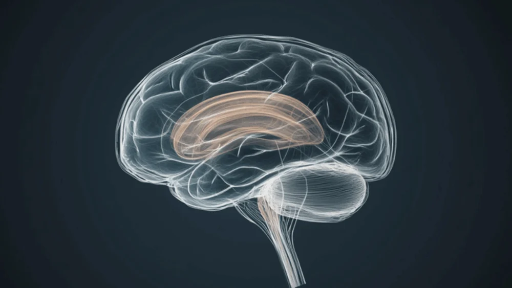 The Evolution of GLP-1 Receptor Agonists: From Diabetes Management to Potential Breakthroughs in Dementia Prevention