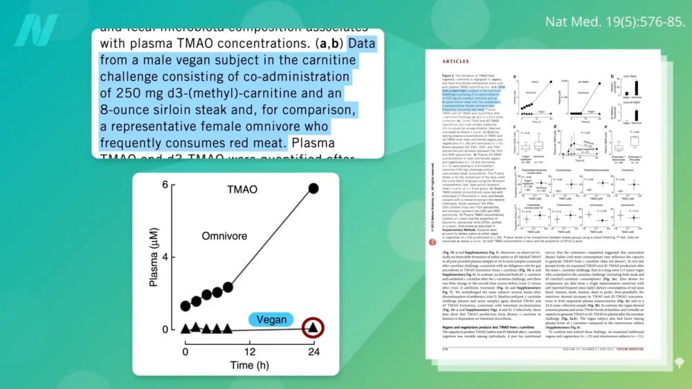 The Gut Microbiome: A Pivotal Factor in Health and Disease, With a Focus on TMAO and Plant-Based Diets