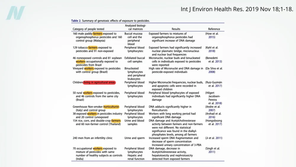 The Organic vs. Conventional Food Debate: Unpacking the Evidence on Pesticides and Cancer Risk