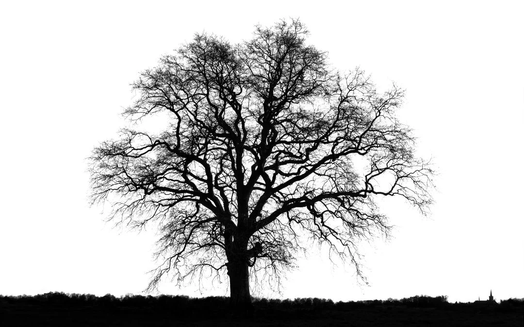 The Psychological Landscape of Mortality: Distinguishing Between the Fear of Death and the Process of Dying