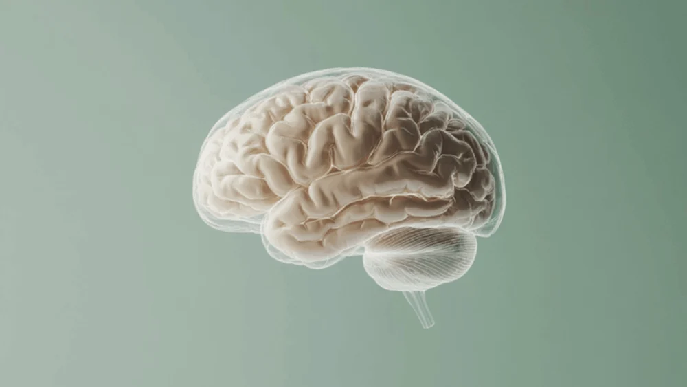 The Relationship Between Circulating Cholesterol Levels and Long-Term Cognitive Health