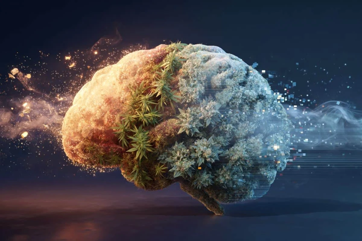 Young Adult Substance Use Linked to Poorer Midlife Memory, University of Michigan Study Finds