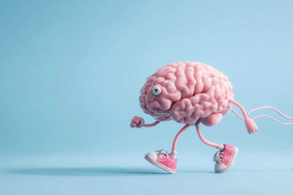 Brain’s Ventromedial Hypothalamus Identified as Key Regulator of Physical Endurance, Challenging Traditional Views of Fitness