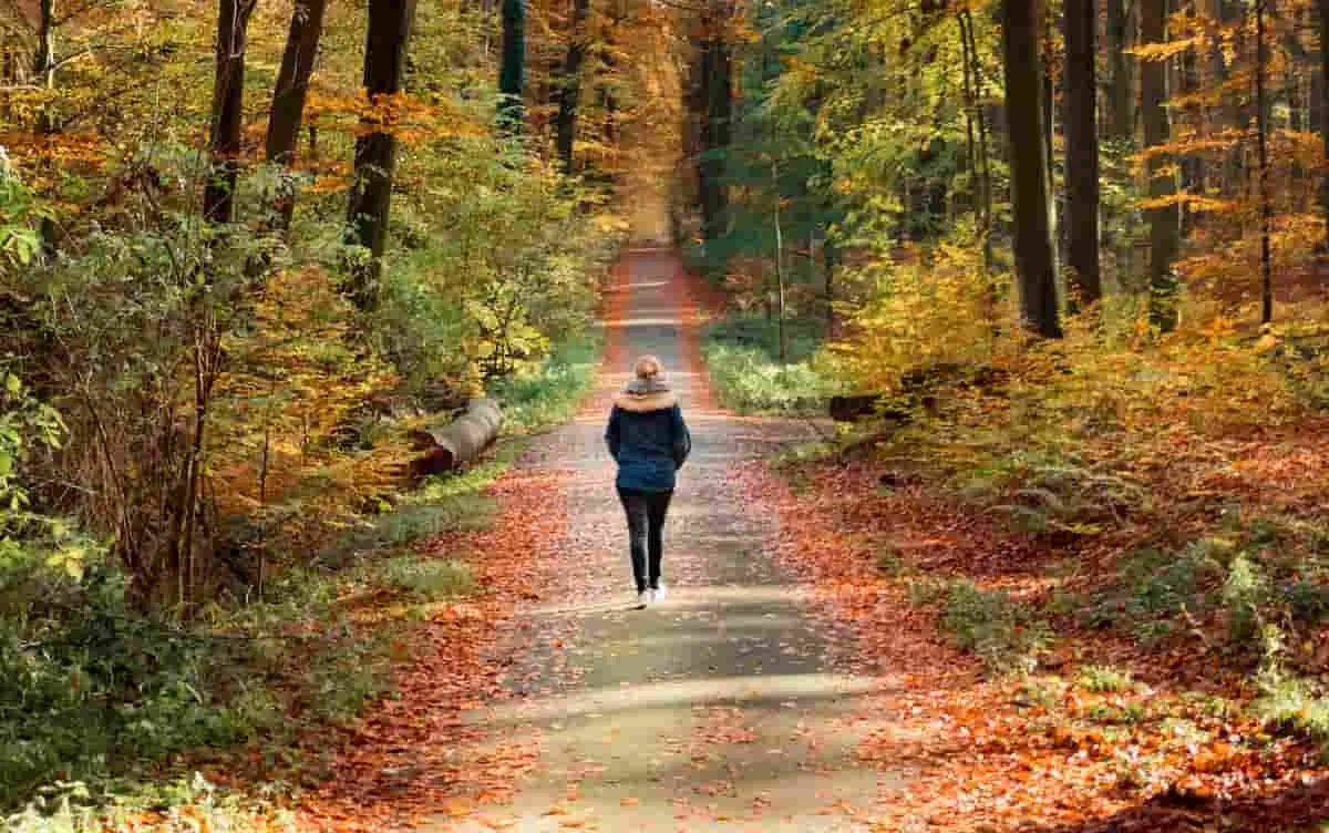 Mindful Movement: Simple Daily Walks Can Significantly Boost Mental Wellbeing