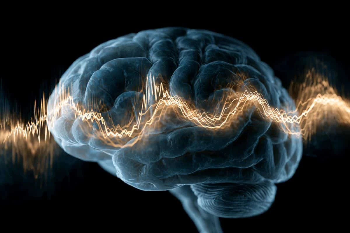 Researchers Engineer Real-Time Brain-Computer Interface to Boost Conscious Awareness of Micro-Errors, Accelerating Perceptual Learning