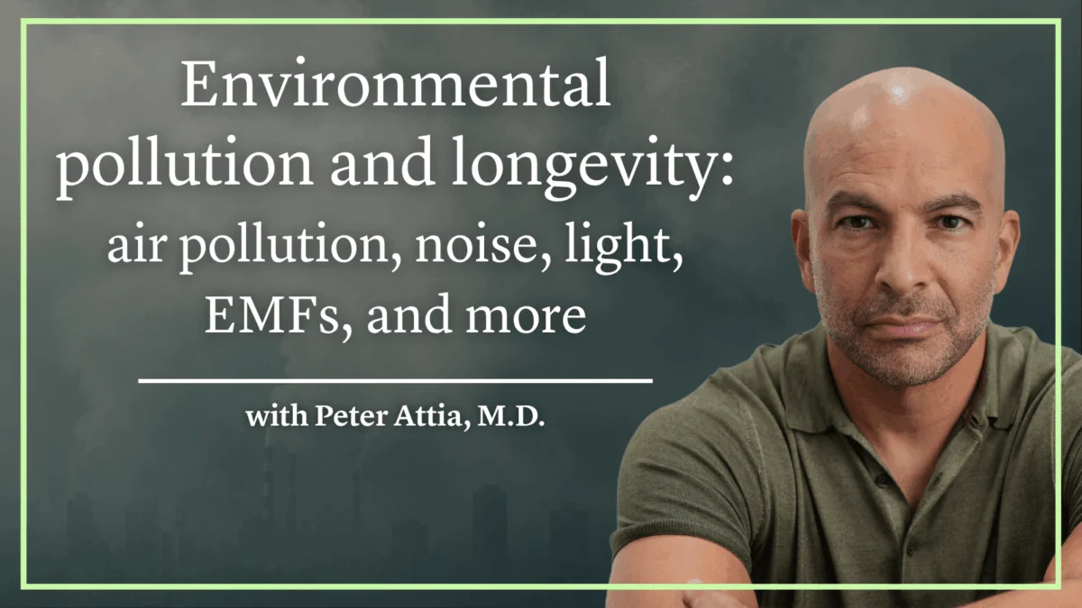 The Impact of Environmental Pollution on Longevity and Public Health An Analysis of Modern Exposures and Evidence-Based Mitigation Strategies