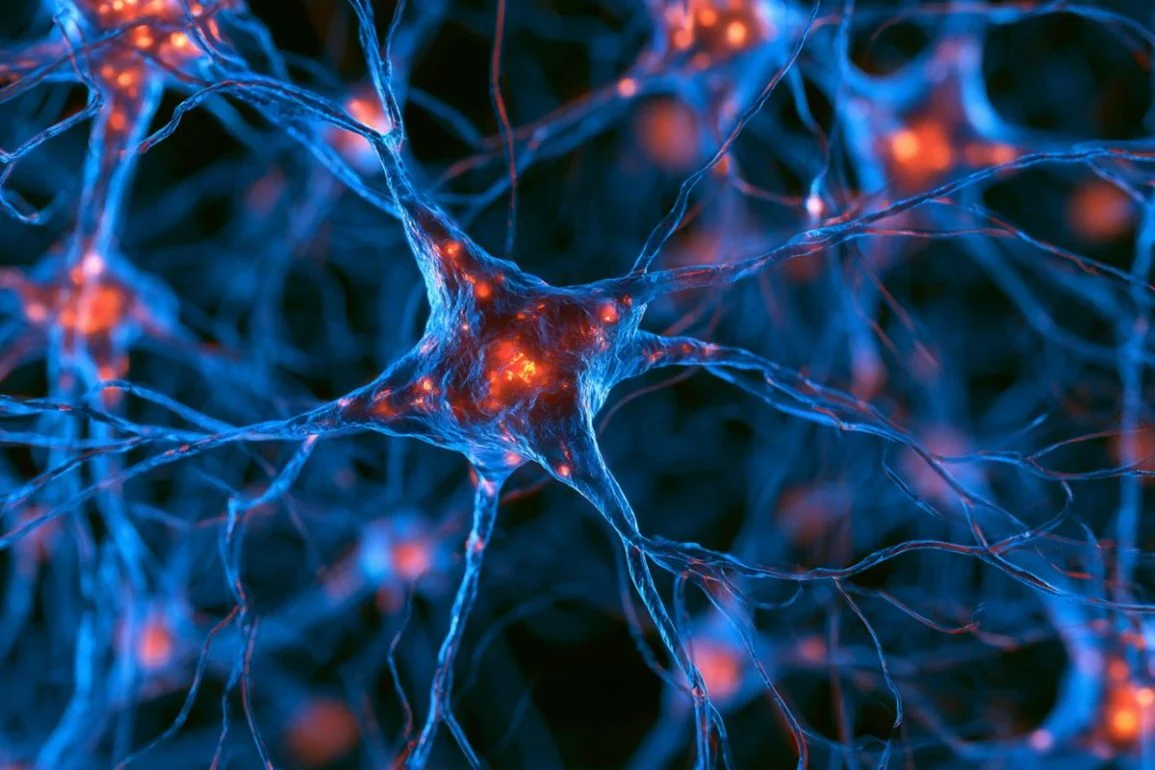 Groundbreaking Research Illuminates How Exercise-Induced Muscle Signaling Shields Brain Against Parkinson’s Disease Pathology