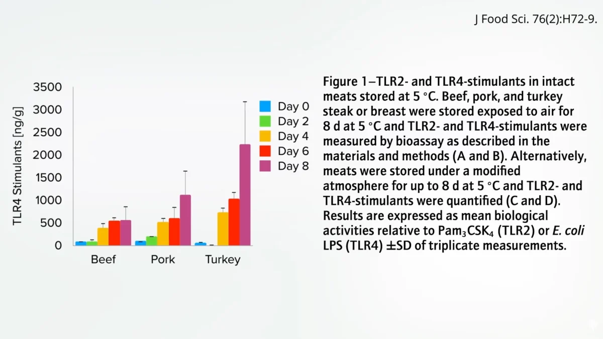 The Alarming Arterial Consequences of a Single High-Fat Meal Unveiled