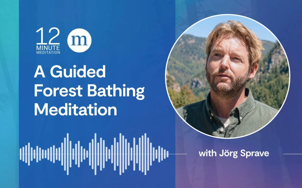 Jörg Sprave, Founder of Treeming.org, Guides Participants Through Ancient Shinrin-Yoku Practice to Reconnect with Nature Amidst Modern Disconnect