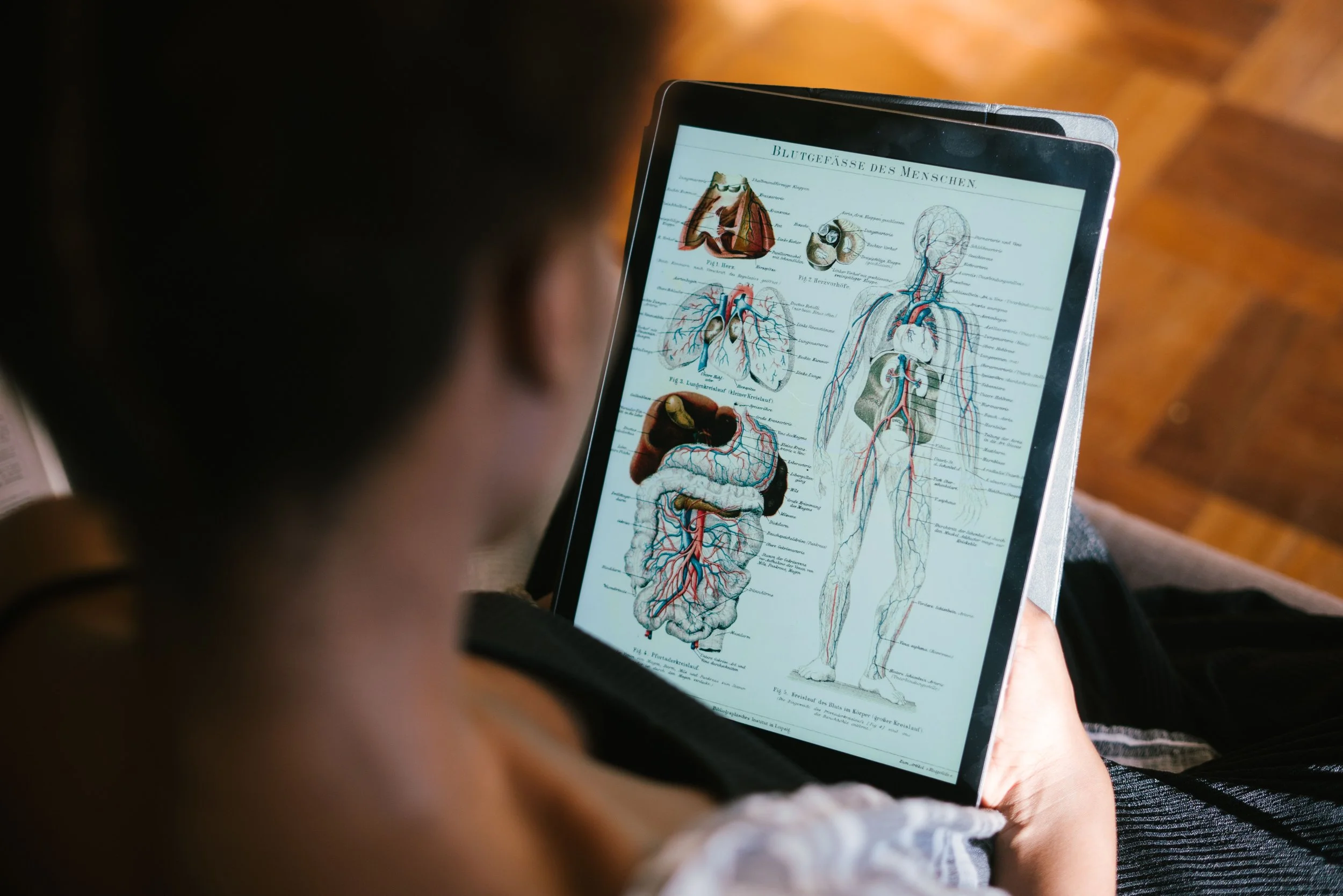 Navigating the Rigorous Landscape of Medical Education and Licensure in the United States