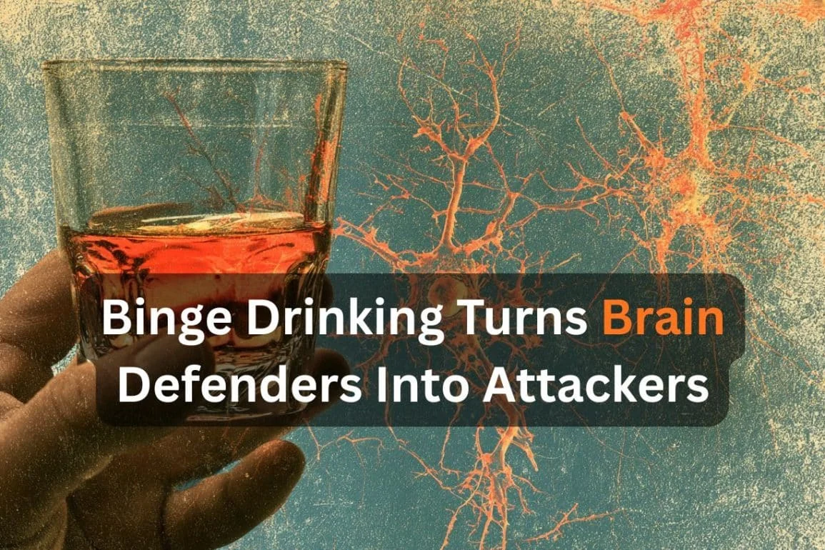 Paradigm Shift: Cleveland Clinic Study Reveals Immune Cells, Not Just Neurons, Actively Drive Alcohol-Induced Brain Dysfunction