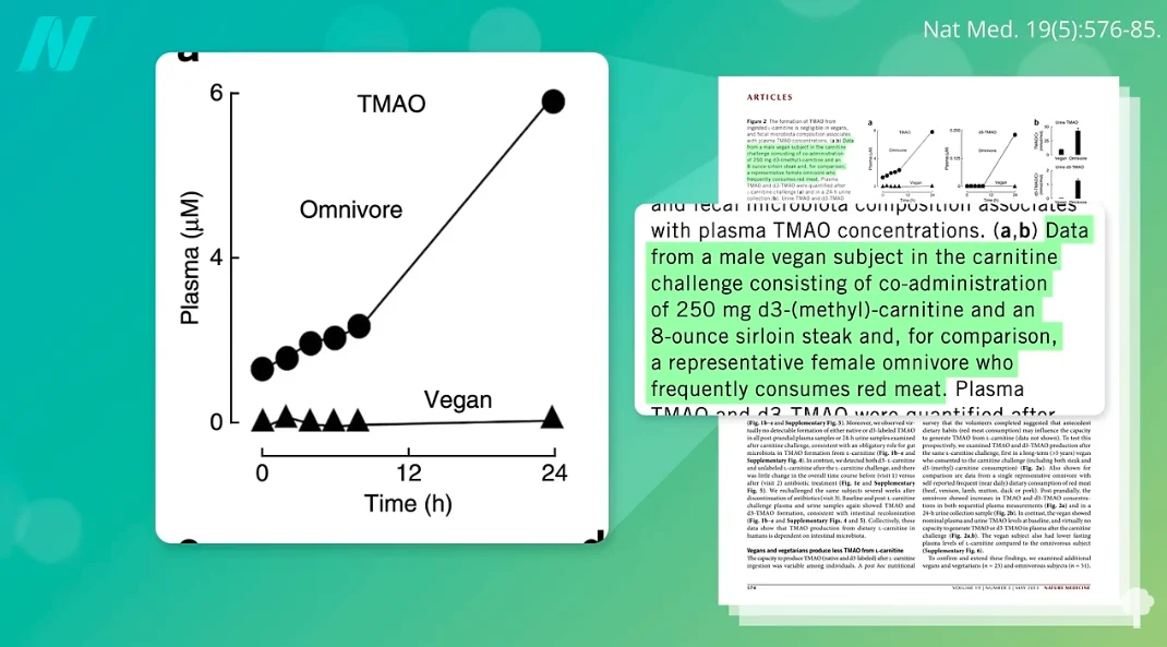 The Gut Microbiome: A Dietary Compass for Cardiovascular Health and Beyond