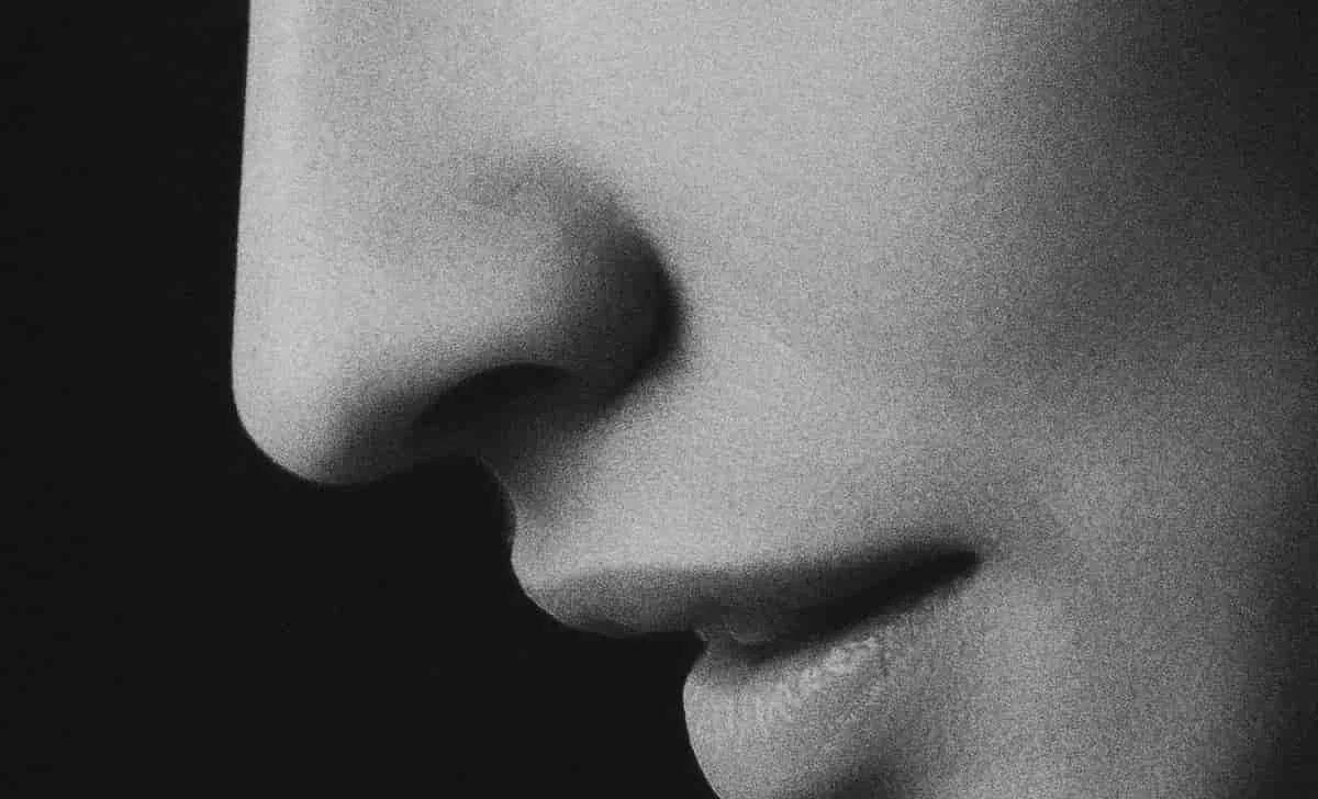 The Scent of Satisfaction: How Olfactory Cues Can Enhance Workout Performance