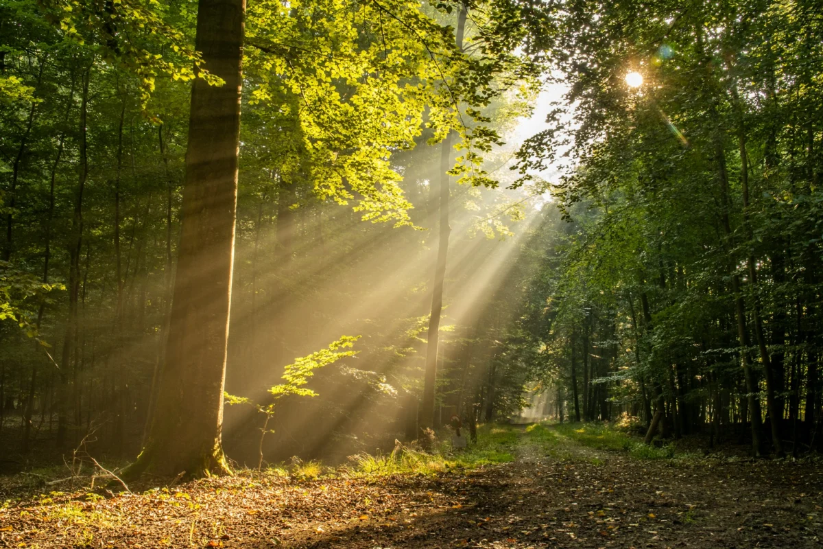 Understanding the Spectrum of Trauma and the Path Toward Psychological Recovery for Survivors