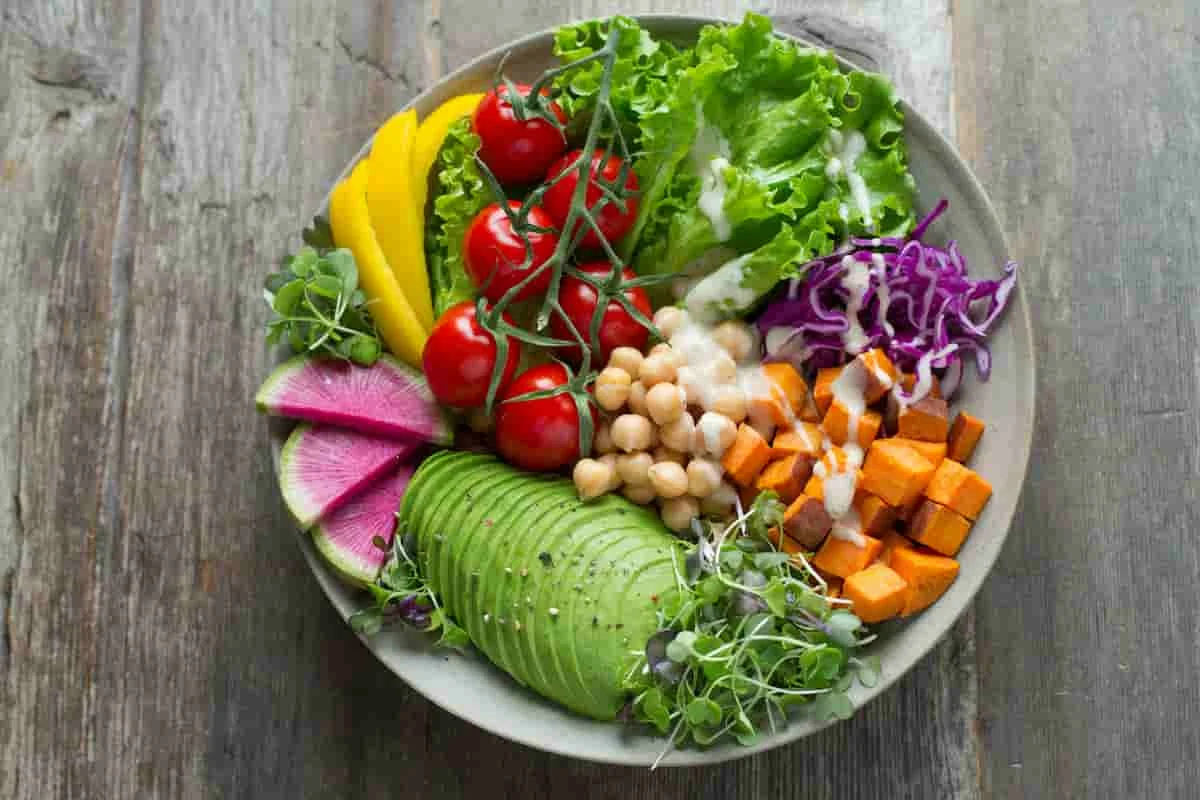Unveiling a Groundbreaking Comparison: A Multifaceted Plant Blend Outperforms Standard Probiotic in Gut Health Study